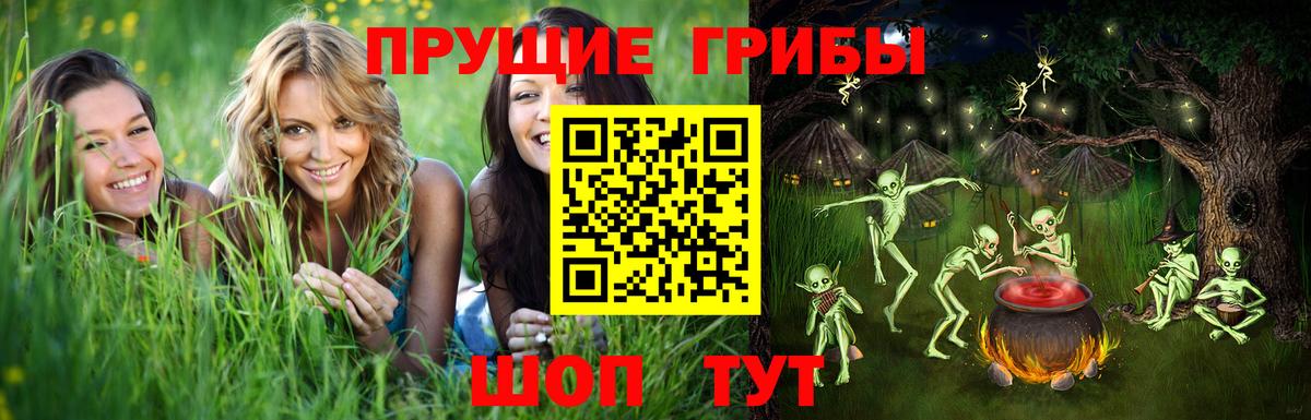 Псилоцибиновые грибы мицелий Тула