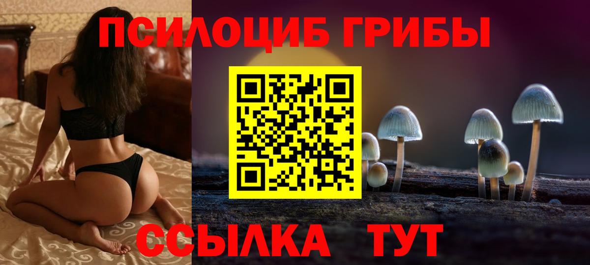 Тула  Галлюциногенные грибы Psilocybine cubensis  наркошоп  Вход с VPN 